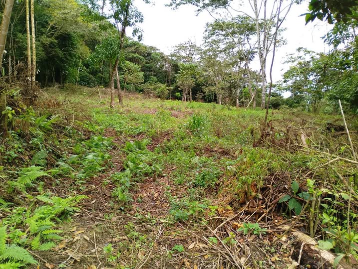 Lote Exclusivo Quillabamba 2